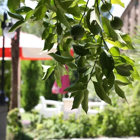 Antik Manastir Butik מלון אדרמיט