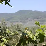 Antik Manastir Butik