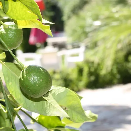 Antik Manastır Butik Hotel Edremit (Balikesir)