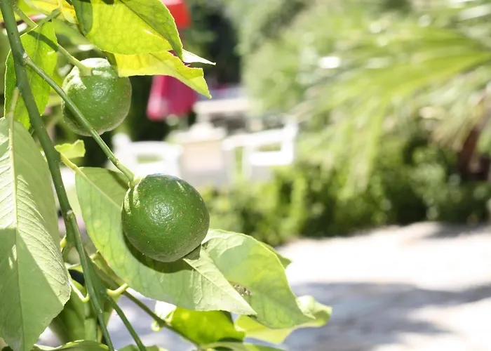 Antik Manastir Butik Hotel Edremit (Balikesir)