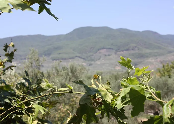 Antik Manastir Butik