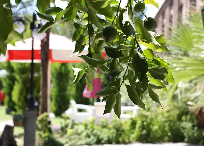 Antik Manastir Butik Hotel Edremit (Balikesir)